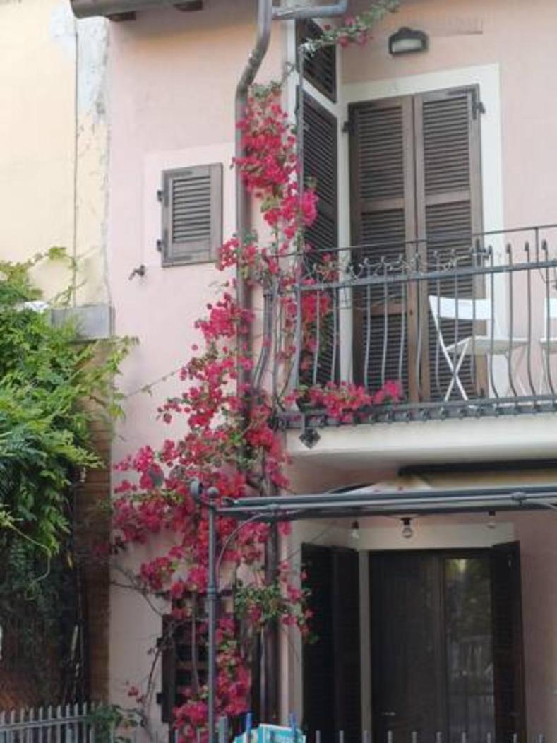 Bouganville House Senigallia Eksteriør billede